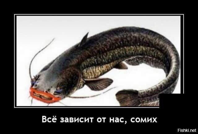 -Чем-то она похожа на мою, которую ни кому не отдам