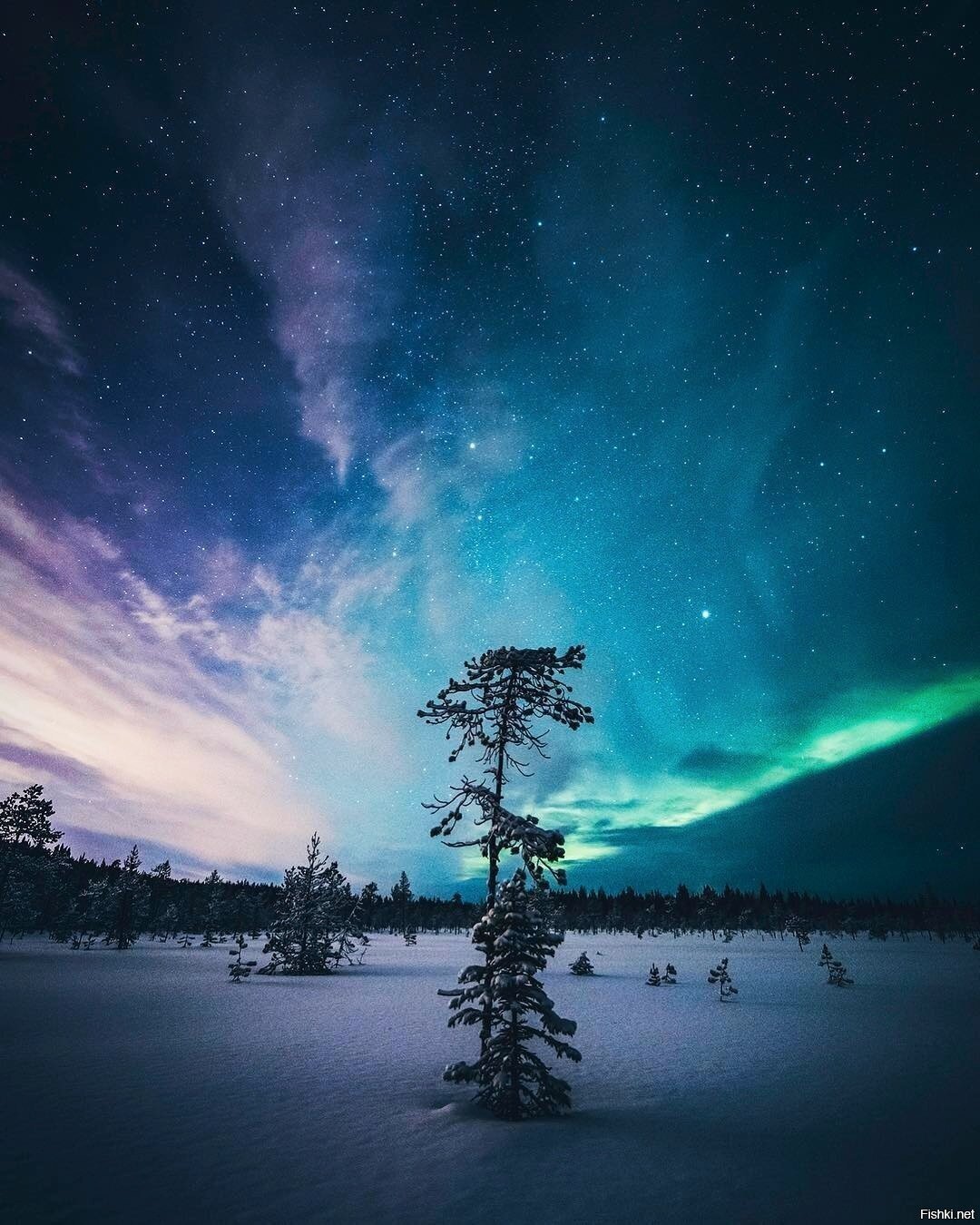 Солянка