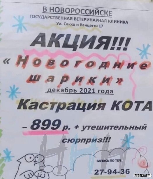 Надо "Броненосца" спросить, реальное объявление у них в городе
