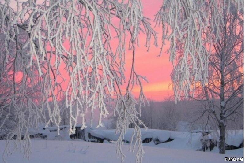 Привет, соляне) Доброе ли утро