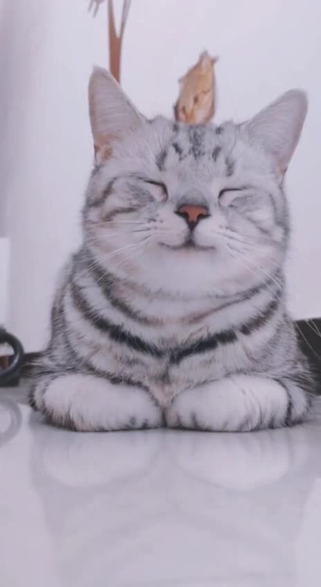 Красивый и довольный