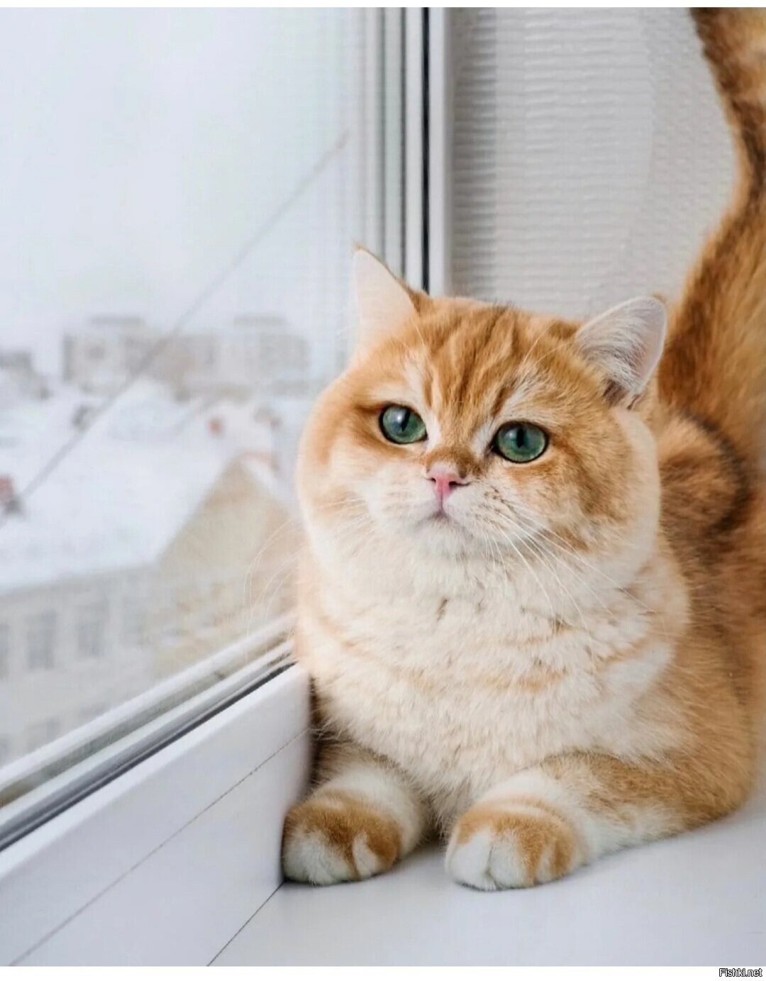 Доброе утро