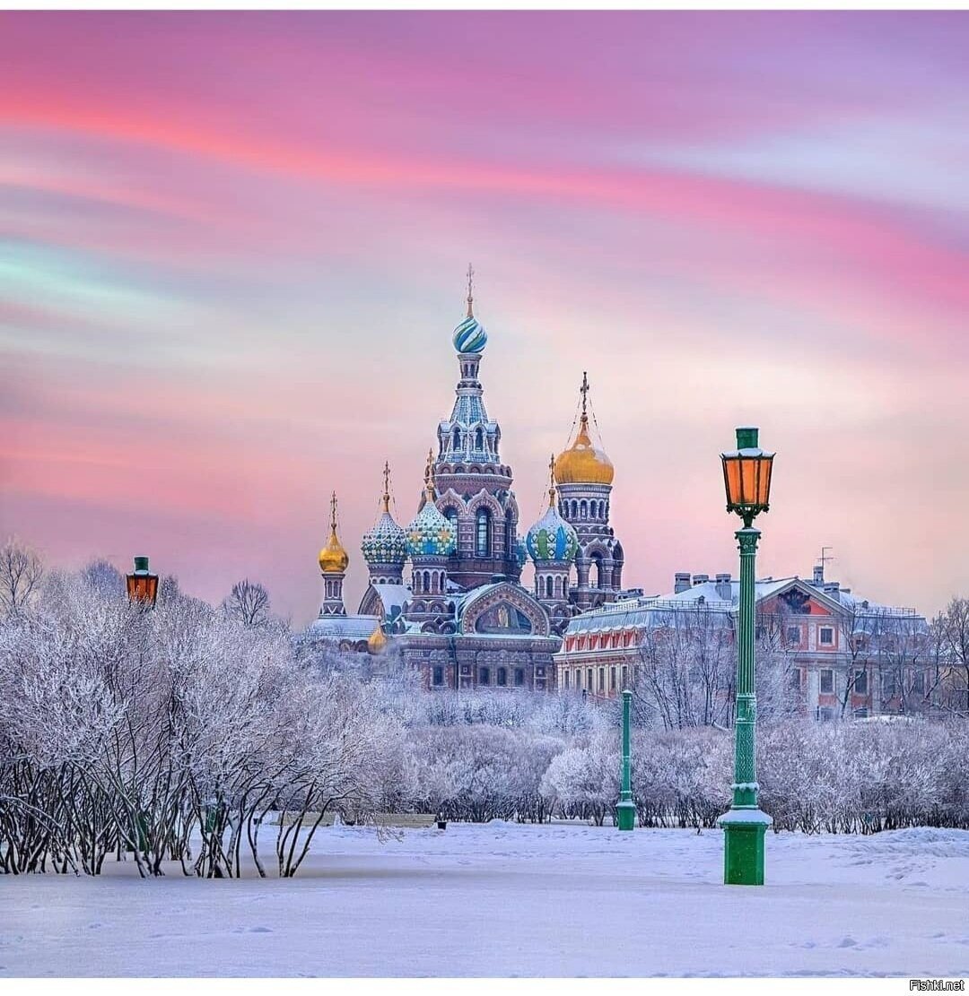 Солянка