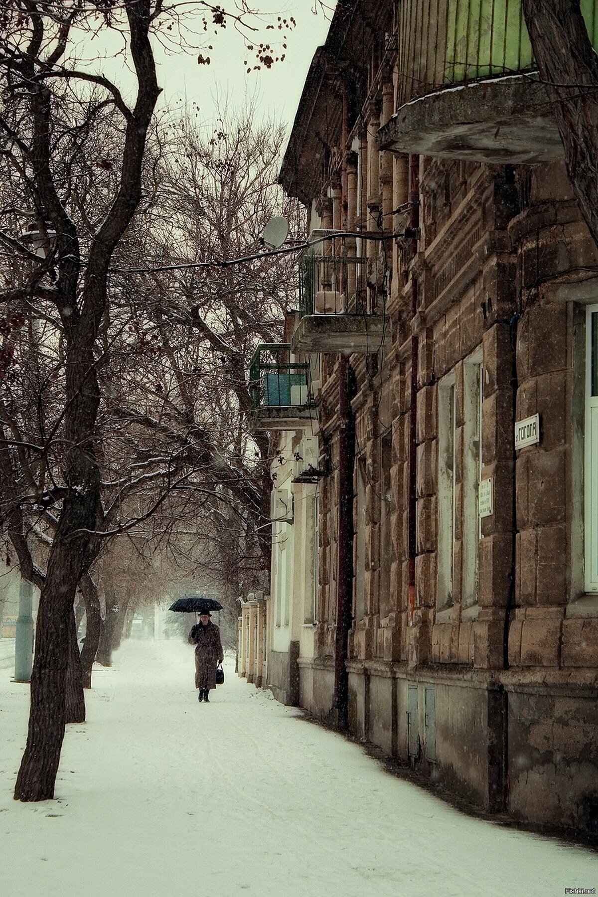 Солянка