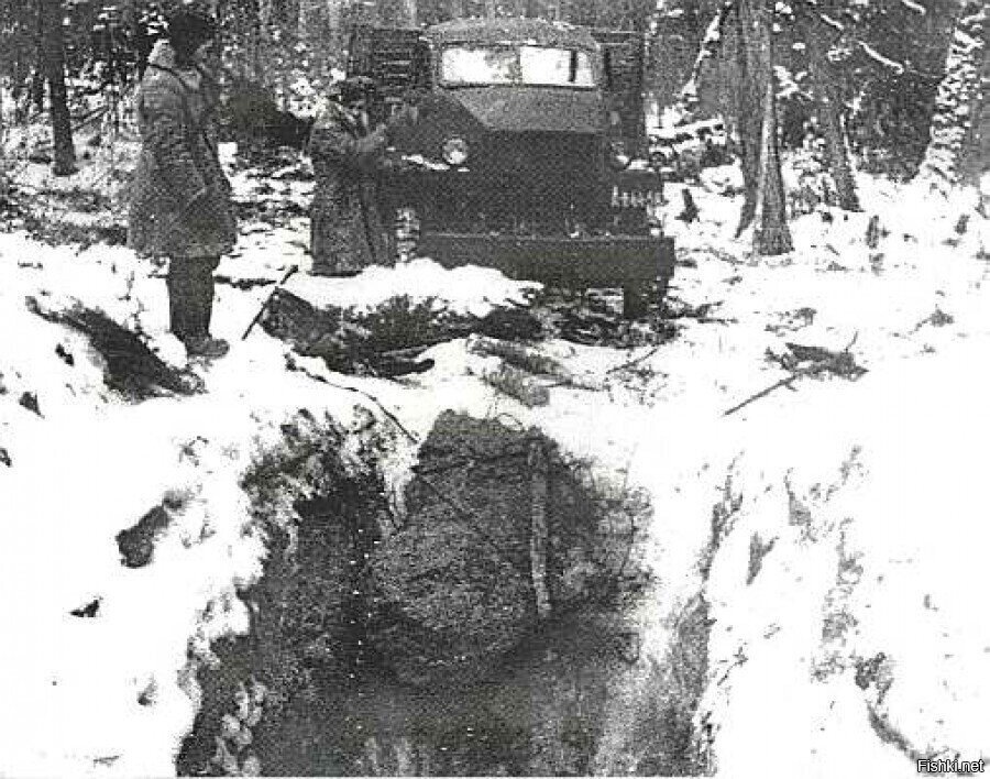 1950 г