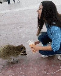 - Я пожалуй все заберу