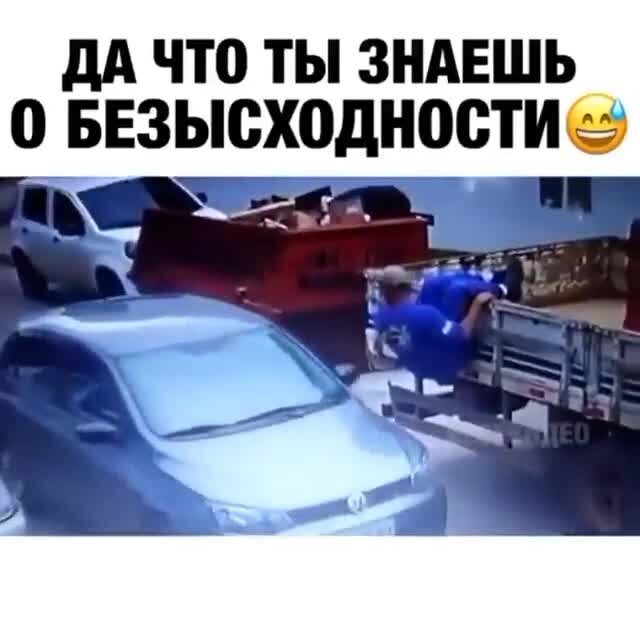 Смешные и&nbsp;добрые видео