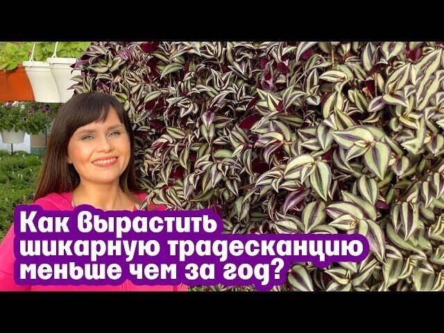 Надо глянуть)