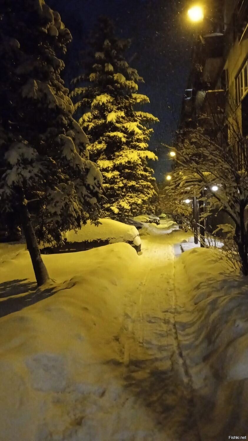 Солянка