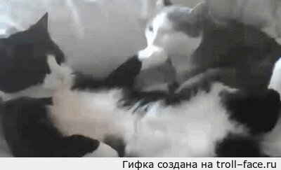 Барин отдыхает