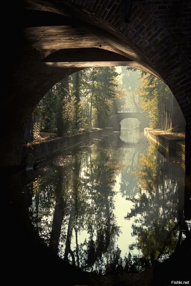 Солянка