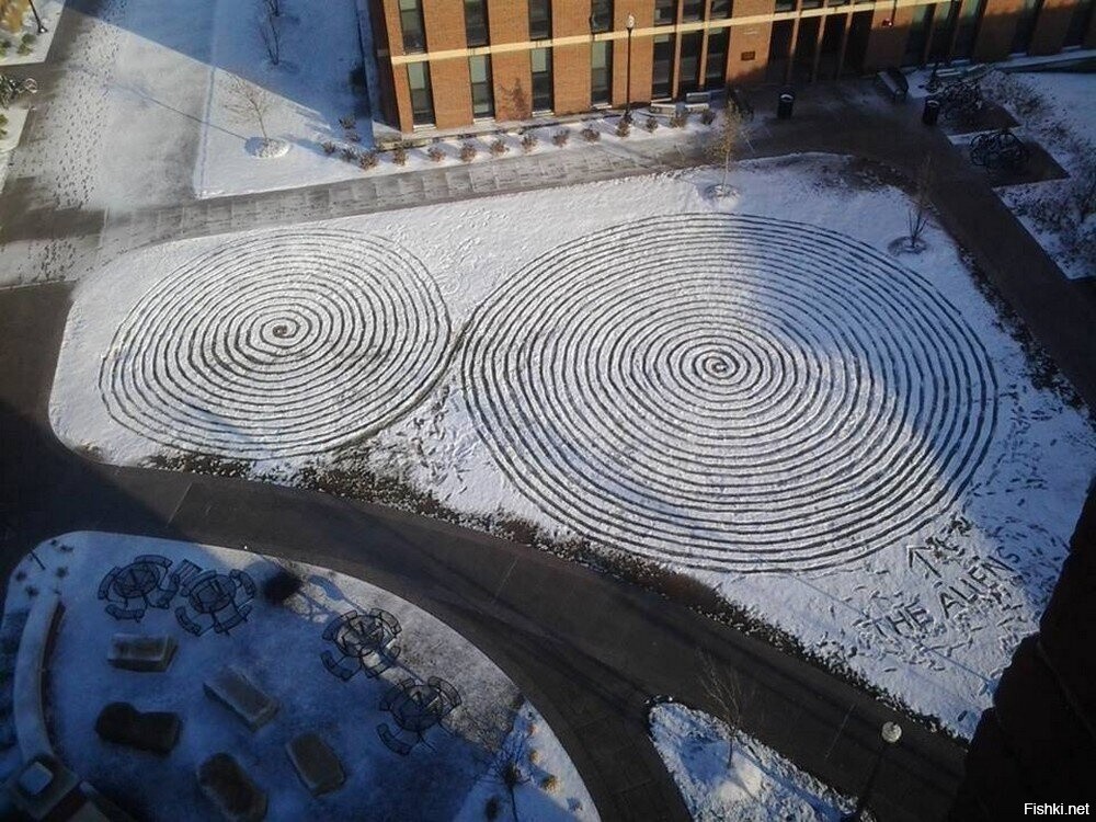 Солянка