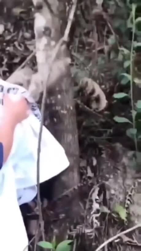 Спасибо, друг