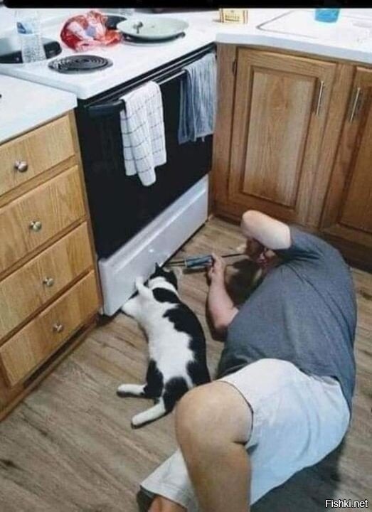 Потерялась любимая игрушка