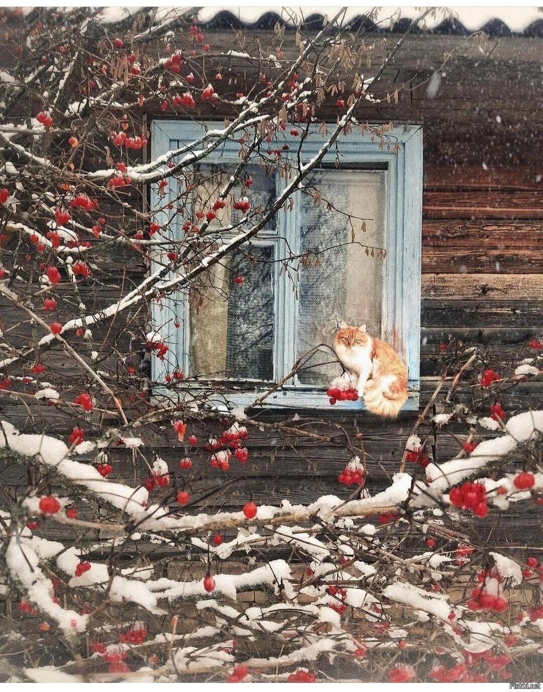 Солянка