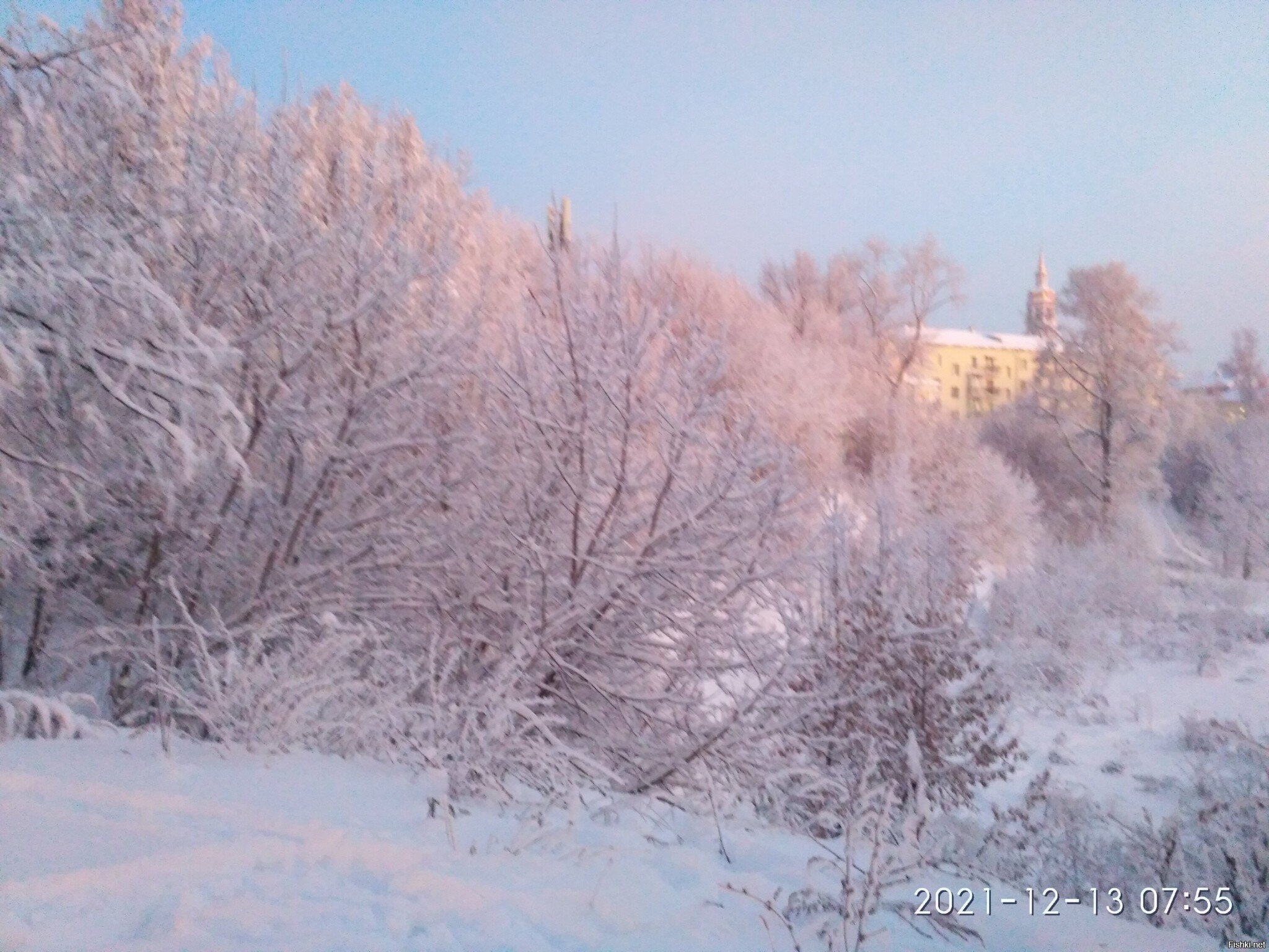 У нас сейчас красотища на улице, не могу не поделиться: