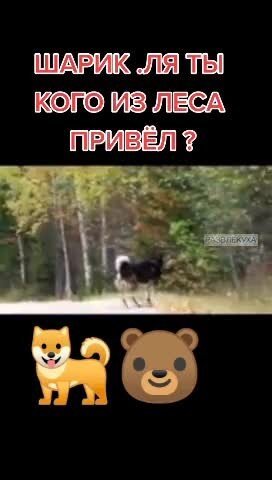 Опасно