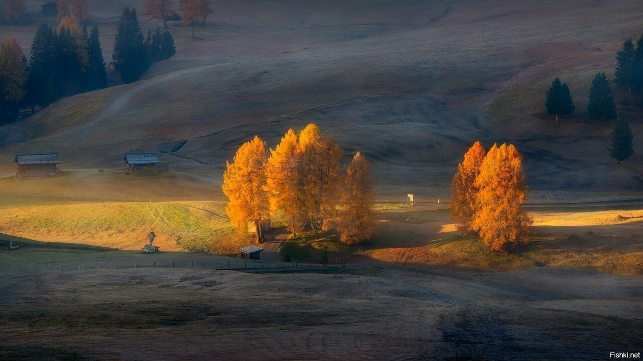 Солянка
