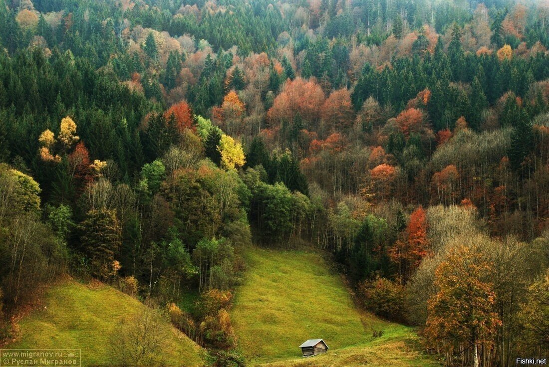 Солянка