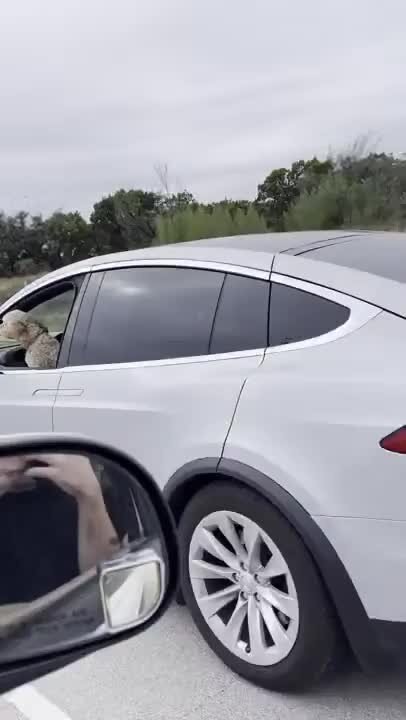 Чувак на Тесле