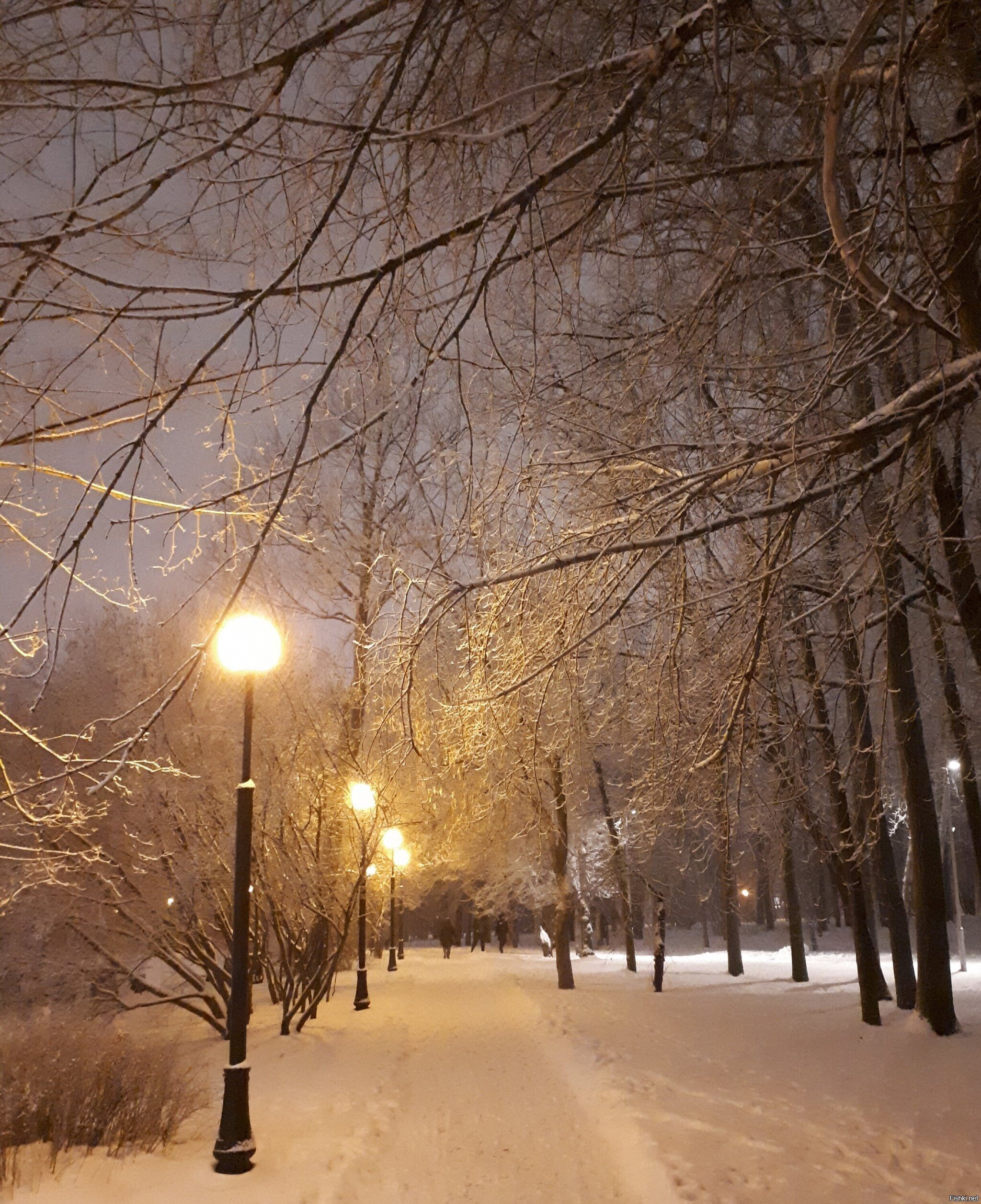 Коммунальщики не оценят