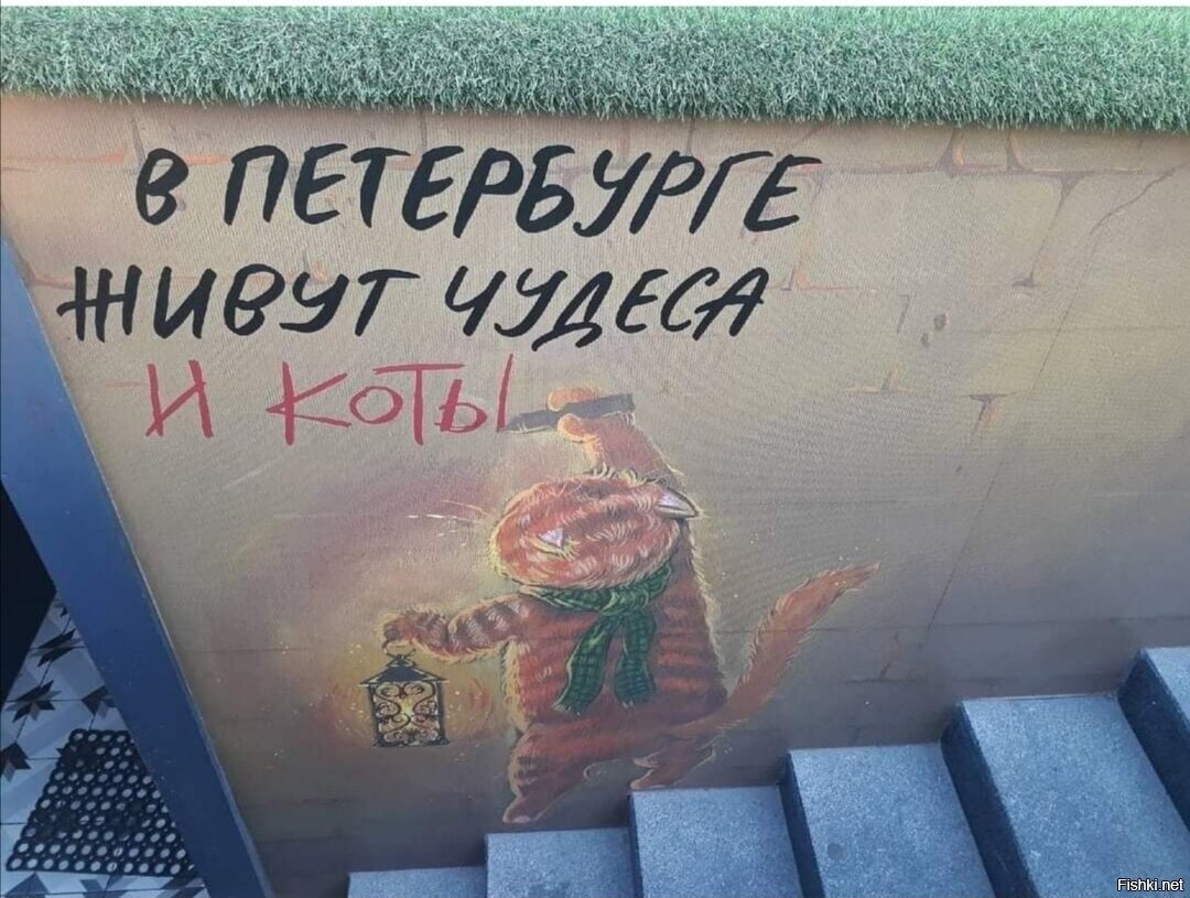 Коты, которые творят чудеса