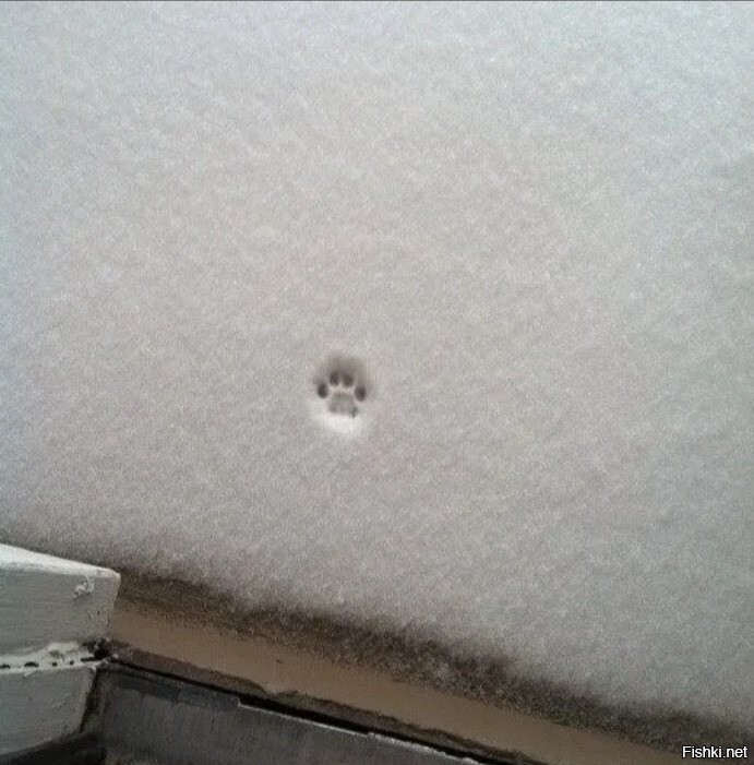 погулял 