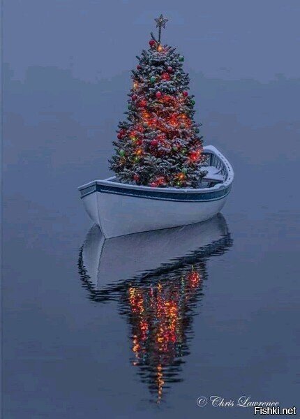 Вы скажете рано