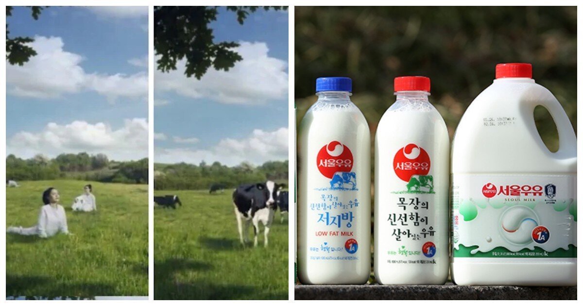 На лугу пасутся Ж: корейский агрохолдинг в своей рекламе сравнил девушек с коровами