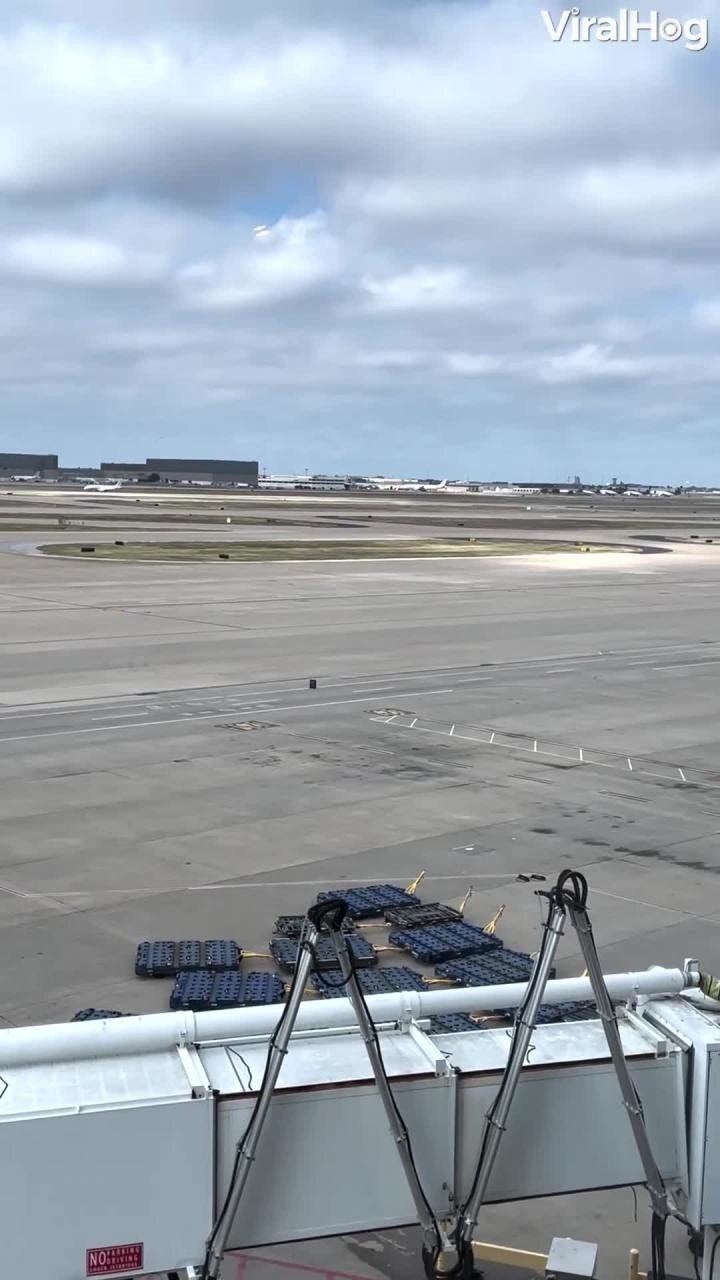 Попытка побега чемодана