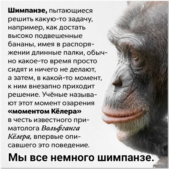 &quot;Момент Кёлера&quot;