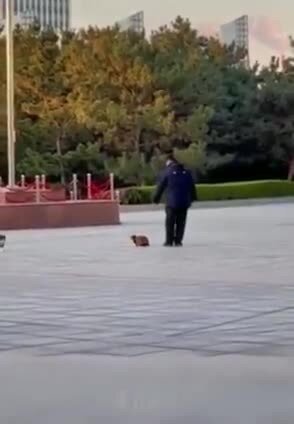 Полицейская спецоперация