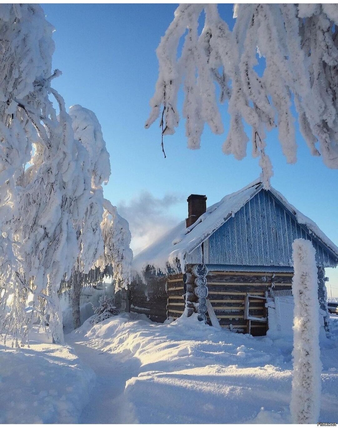 Солянка