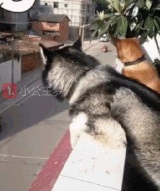 - Ну оочень интересно