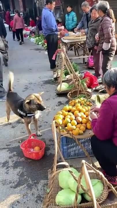 - А довесок