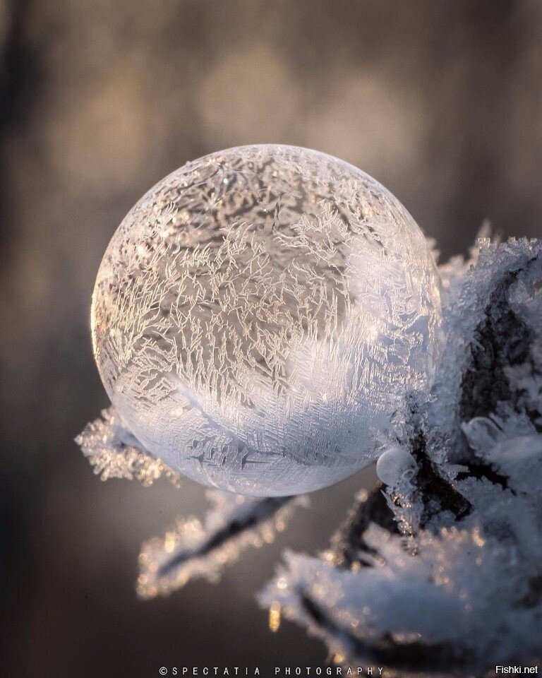 Не могу представить, как это все произошло