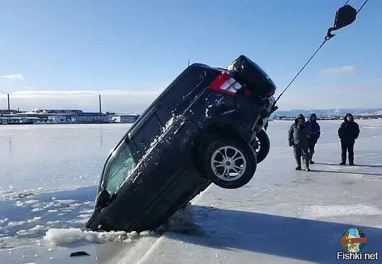 Главное подкормить ))