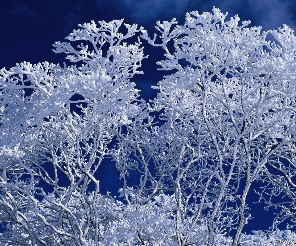 Спокойной ночи