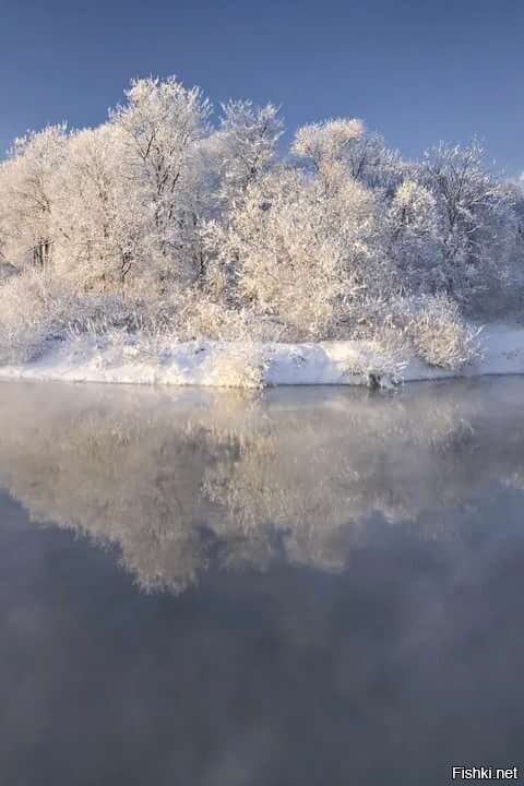 Доброе утро