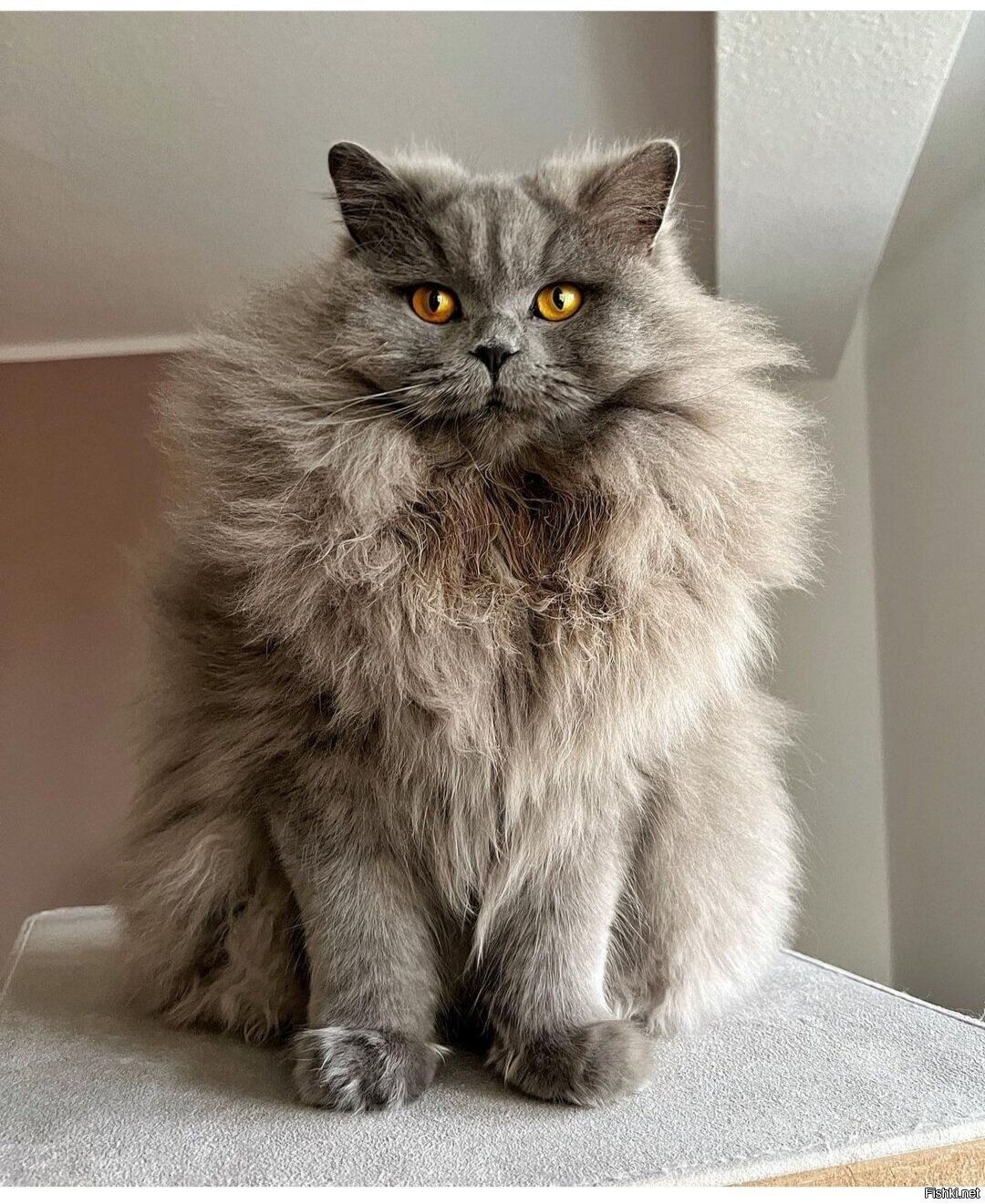 Доброе утро