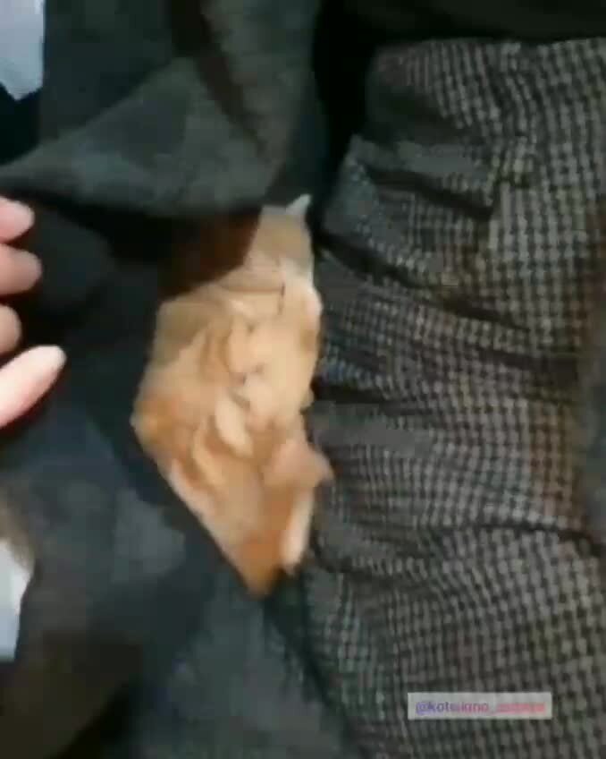 Доброе утро