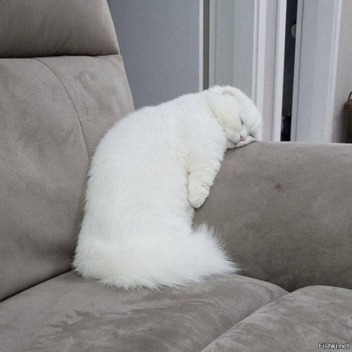 Всем Доброго утра