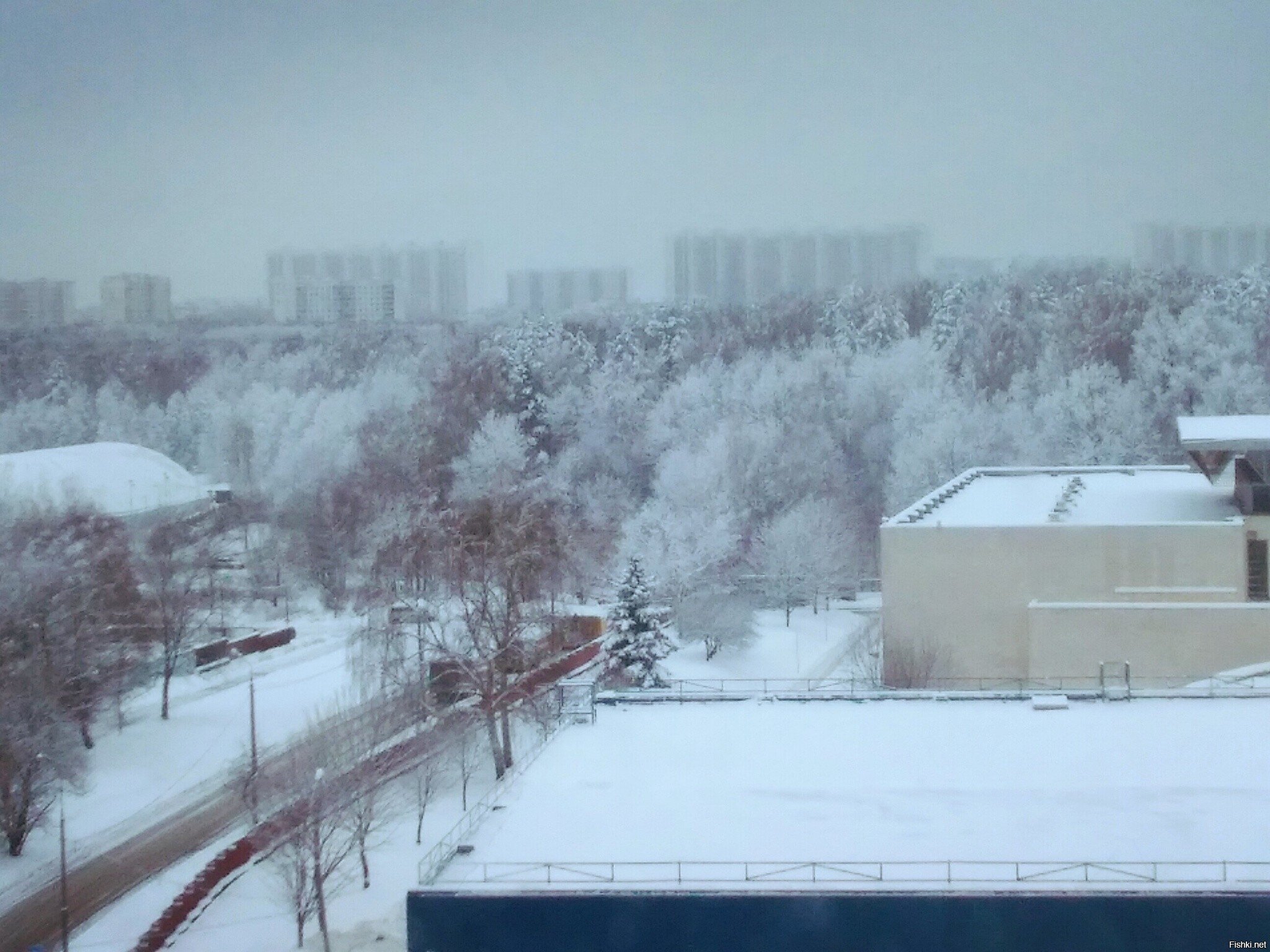 Москва, Чертаново,  Битцевский лесопарк, за ним Ясенево