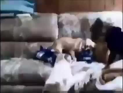 Кто сильнее