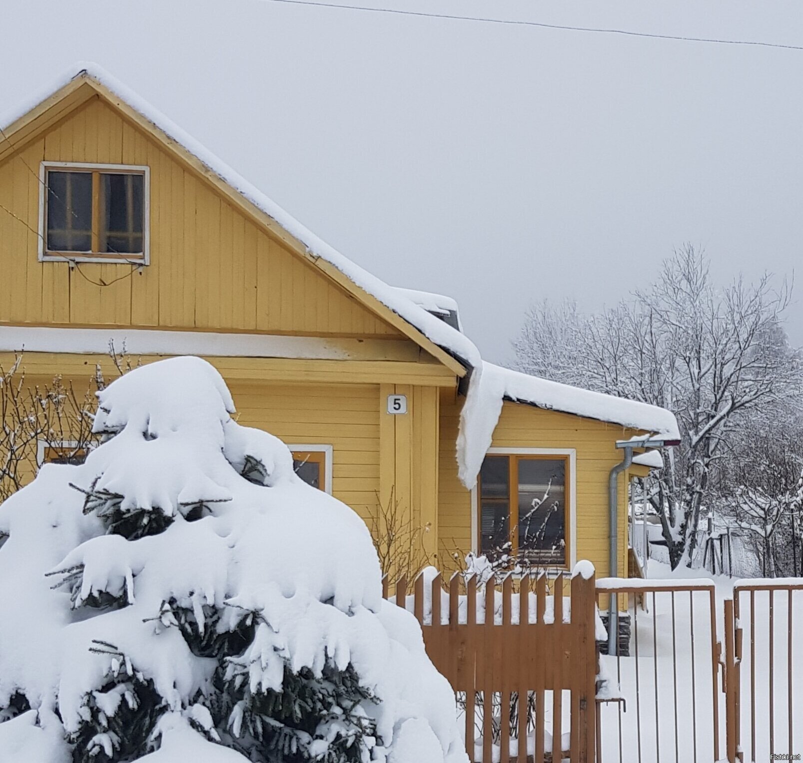 Доброго и снежного