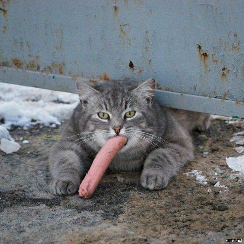 Солянка