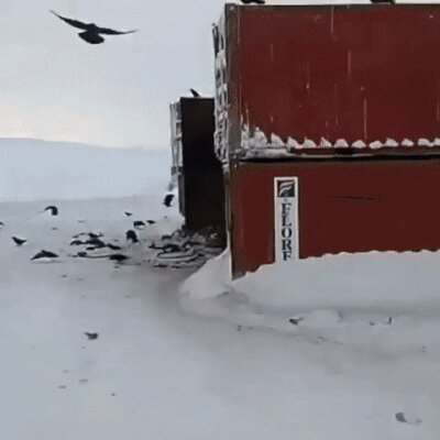 Не дай бог такую тусовку встретить