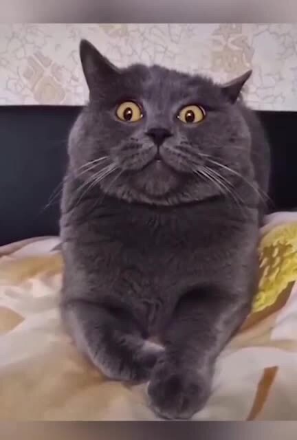 Недопонимание и удивление