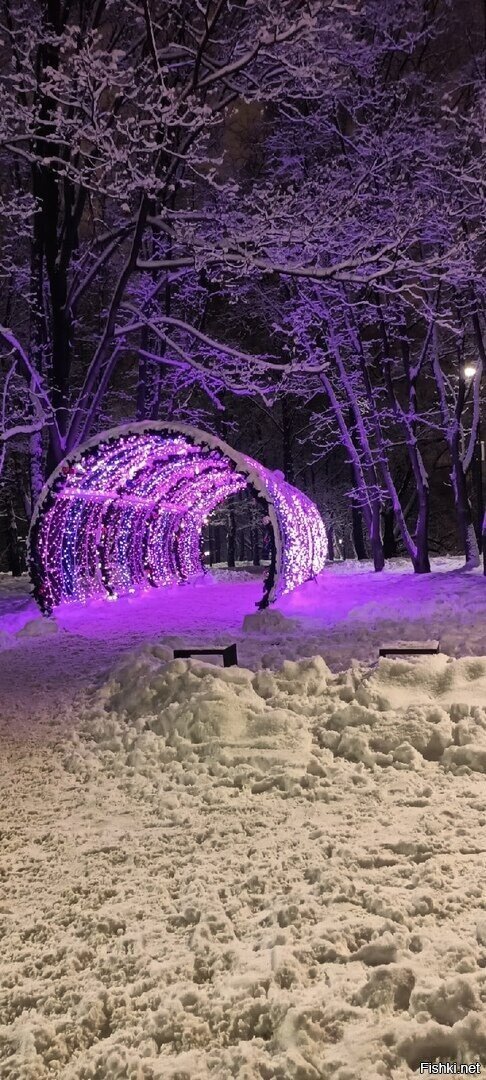 Солянка