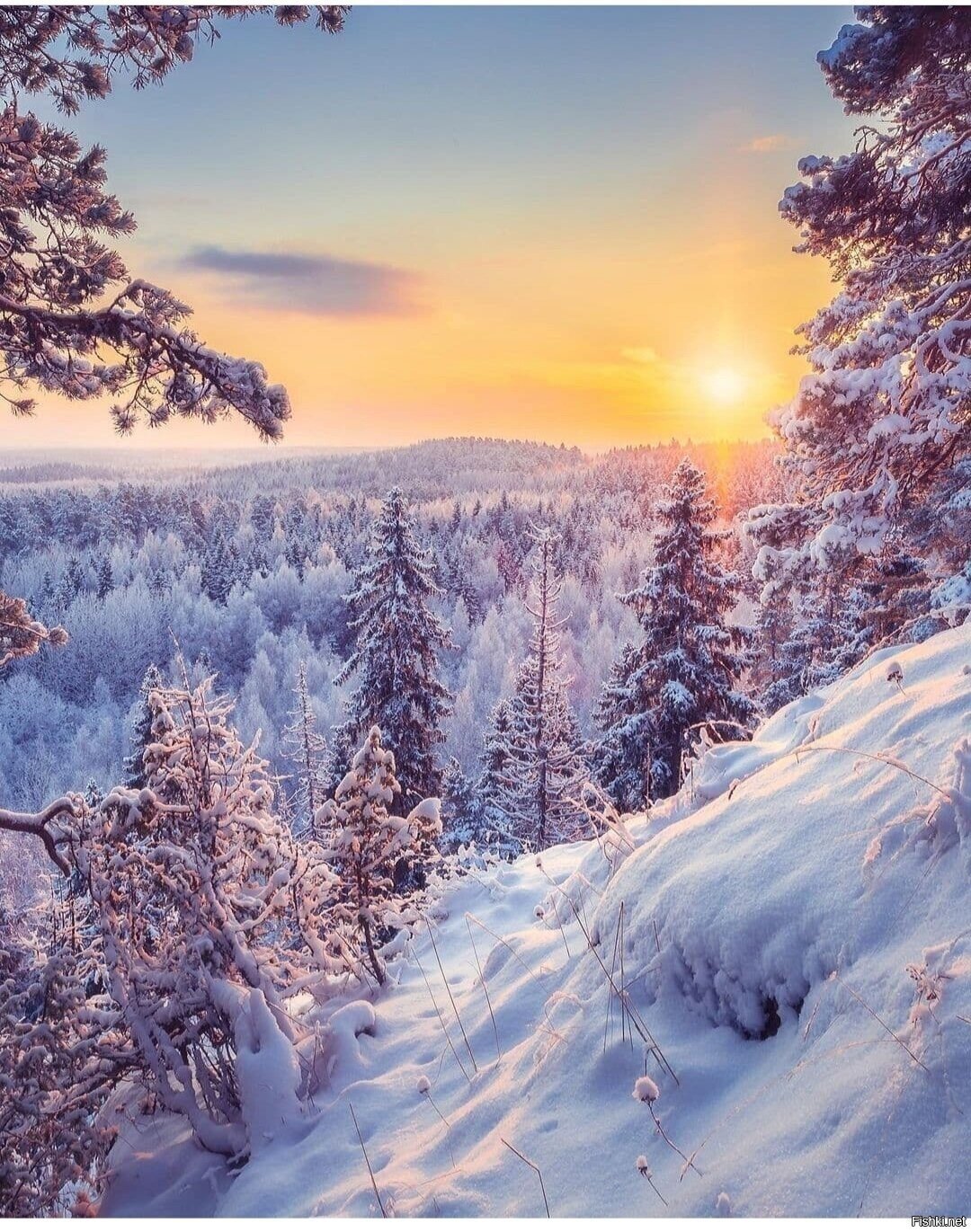 Солянка